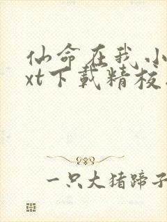 仙命在我小说txt下载精校版