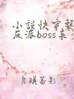 小说快穿系统之反派boss来袭