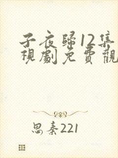 子夜归12集电视剧免费观看全集高清