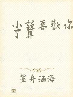 小说喜欢你我说了算