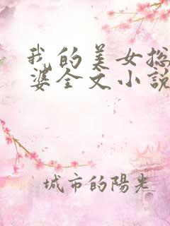 我的美女总裁老婆全文小说