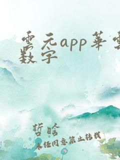 云元app华云数字