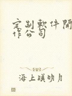 定制软件开发制作公司