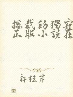 总裁的独宠甜妻正版小说在哪看