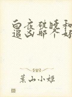 白夜破晓和白夜追凶哪个好看