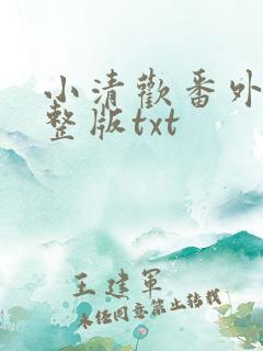小清欢番外篇完整版txt