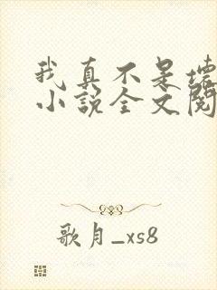 我真不是坏男人小说全文阅读