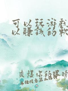 可以玩游戏也可以赚钱的软件