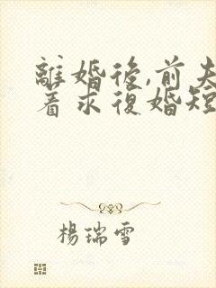 离婚后,前夫哭着求复婚短剧