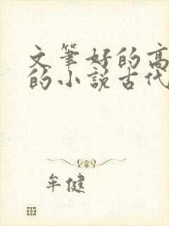 文笔好的高质量的小说古代言情