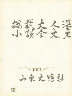 总裁大人深深宠小说全文免费阅读