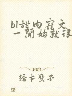 bl甜肉宠文 一开始就很宠