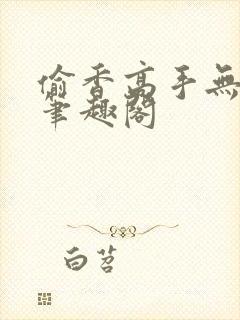 偷香高手无删减笔趣阁