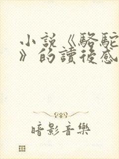 小说《骆驼祥子》的读后感