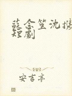 苏念笙沈携西 短剧