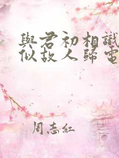 与君初相识·恰似故人归电视剧免费看