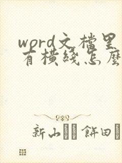 word文档里有横线怎么去掉