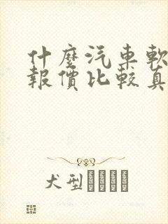 什么汽车软件的报价比较真实