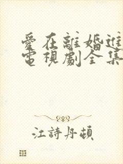 爱在离婚进行时电视剧全集免费观看