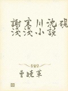 谢寒川沈砚之苏浅浅小说