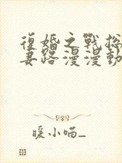 复婚之战总裁追妻路漫漫动漫第一季