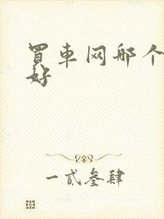 买车网哪个网站好