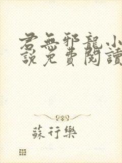 君无邪龙小幽小说免费阅读