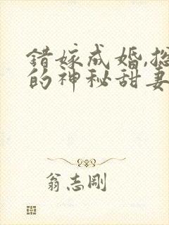 错嫁成婚,总裁的神秘甜妻