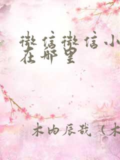 微信微信小程序在哪里