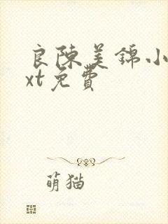 良陈美锦小说txt免费