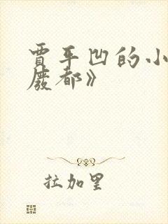 贾平凹的小说《废都》