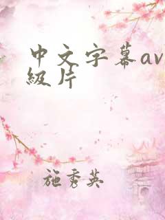 中文字幕av一级片