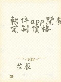 软件app开发定制价格