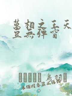 万相之王天蚕土豆无弹窗