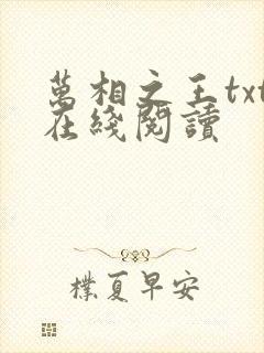 万相之王txt在线阅读