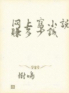 网上写小说可以赚多少钱