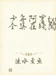 少年阿宾txt全集在线阅读