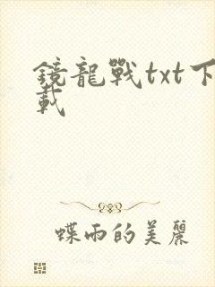 镜龙战txt下载