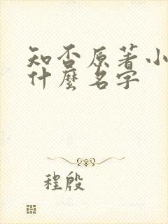 知否原著小说叫什么名字