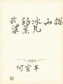 我的冰山总裁老婆叶凡