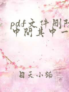 pdf文件删除中间其中一页