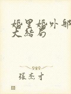 婚里婚外那些事大结局