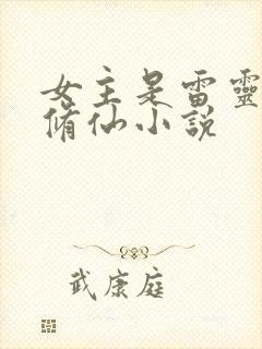 女主是雷灵根的修仙小说