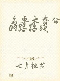 乌鲁木齐公交909路路线