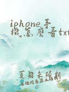 iphone手机怎么看txt小说