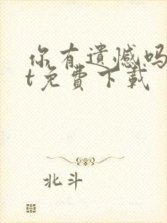 你有遗憾吗txt免费下载