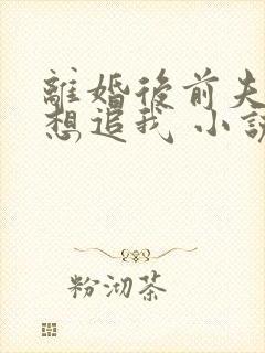 离婚后前夫总是想追我 小说