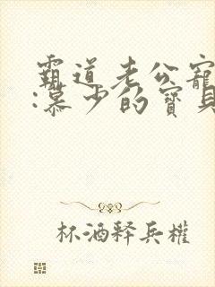 霸道老公宠上瘾:慕少的宝贝妻