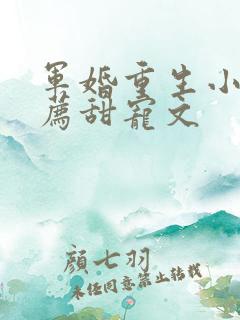 军婚重生小说推荐甜宠文