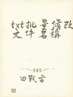 txt批量修改文件名称